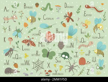 Woodland alphabet for children. Cute flat ABC with forest insects on green background. Horizontal layout funny poster for teaching reading on white ba Stock Vector