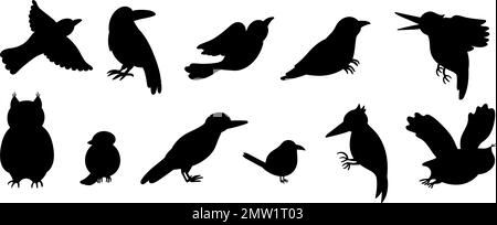 Vector set of cartoon style hand drawn flat funny cuckoos, woodpeckers, owls, raven, wren silhouettes. Cute black and white illustration of woodland b Stock Vector