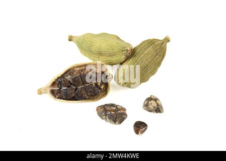 Pods and seeds of cardamom on a white background. Cardamom is a seasoning fruit of a perennial herbaceous plant Cardamom real Elettaria cardamomum Mat Stock Photo