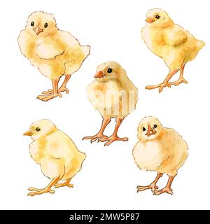 Color illustration Farm with chickens. High quality illustration Stock Photo