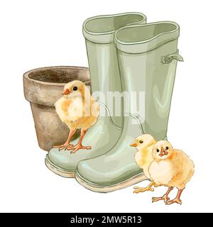 Color illustration Farm with chickens. High quality illustration Stock Photo