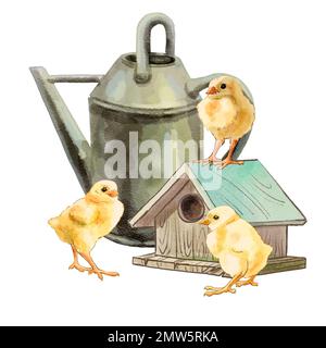 Color illustration Farm with chickens. High quality illustration Stock Photo