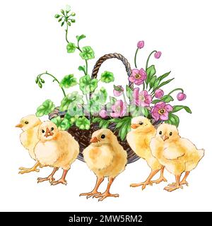 Color illustration Farm with chickens. High quality illustration Stock Photo