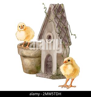 Color illustration Farm with chickens. High quality illustration Stock Photo