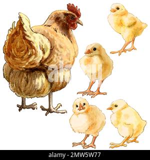 Color illustration Farm with chickens. High quality illustration Stock Photo