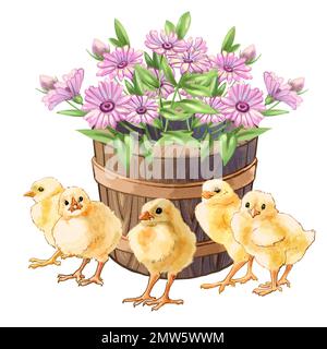 Color illustration Farm with chickens. High quality illustration Stock Photo