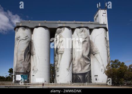 The murals on silos in Coonalpyn, South Australia. Stock Photo