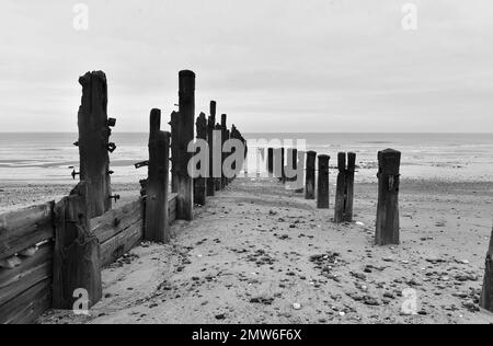 Rotting Groynes on Spurn Point Beach Stock Photo