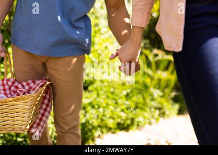 Midsection of diverse couple holding hands walking in sunny garden with picnic basket Stock Photo