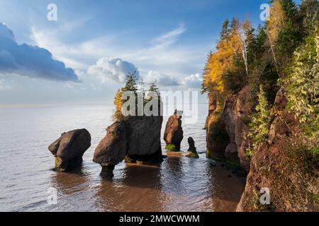 Sea stacks and cliffs at the Hopewell Rocks in Hopewell Rocks ...