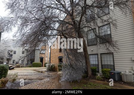 Austin, USA. 01st Feb, 2023. Ice storms hit Austin, Texas leaving thousands without power on February 1, 2023. (Photo by Stephanie Tacy/Sipa USA) Credit: Sipa USA/Alamy Live News Stock Photo