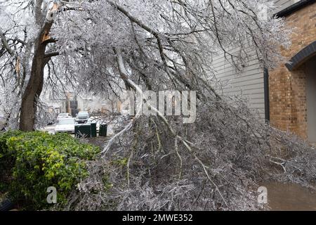 Austin, USA. 01st Feb, 2023. Ice storms hit Austin, Texas leaving thousands without power on February 1, 2023. (Photo by Stephanie Tacy/Sipa USA) Credit: Sipa USA/Alamy Live News Stock Photo