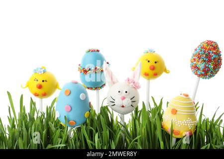 Different sweet cake pops for Easter celebration and grass on white background Stock Photo