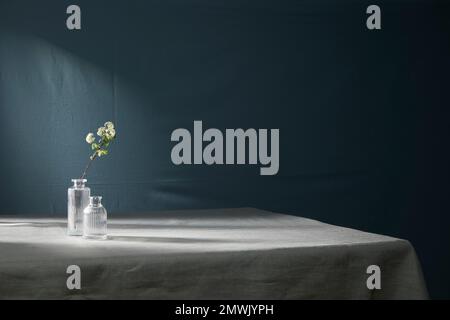 Stylish composition of home garden interior filled a lot of beautiful plants, air plant in different design pots. Home gardening concept Home jungle. Stock Photo