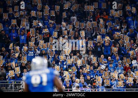 Detroit Lions fans hold up signs for third down against the