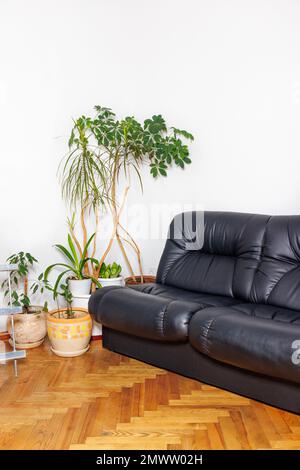 Vintage corner in the lounge of an office space with soft armchairs and green indoor plants. Stock Photo