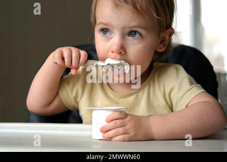 Young Kid Eating Blend Mashed Feed Sitting in High Chair. Baby Weaning. Little Girl Learning to Eat Yogurt, Feeding Himself. Small Hand with Spoon. Br Stock Photo