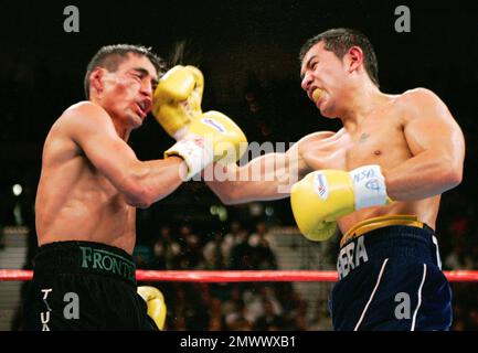 https://l450v.alamy.com/450v/2mwwxb1/file-in-this-nov-27-2004-file-photo-compatriots-erik-morales-left-and-marco-antonio-barrera-trade-punches-in-the-11th-round-of-their-wbc-super-featherweight-title-fight-at-the-mgm-grand-garden-arena-in-las-vegas-former-heavyweight-champion-evander-holyfield-and-three-division-champion-marco-antonio-barrera-of-mexico-head-a-list-of-nine-people-selected-for-induction-into-the-international-boxing-hall-of-fame-tuesday-dec-6-2016ap-photomark-j-terrill-file-2mwwxb1.jpg