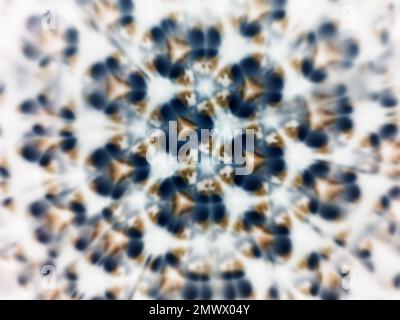 Abstract colorful background. Unique kaleidoscope pattern. Stock Photo