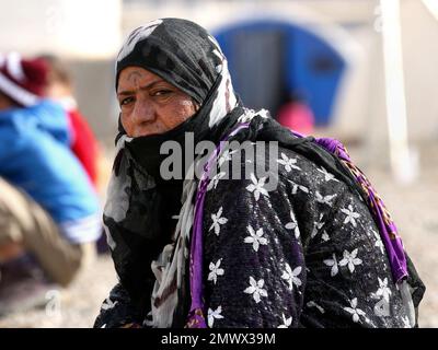An Iraqi woman, who fled the fighting between Iraqi security forces and Islamic State militants, settles at a camp for internally displaced people, in Khazir, near Mosul, Iraq, Monday, Dec. 5, 2016. The U.N.'s refugee agency distributed aid to dozens of Iraqi families uprooted from their homes in and around the city of Mosul. They are among the nearly 5,500 people living in tents in the camp east of Mosul where the battle to retake the city from the Islamic State group is underway. (AP Photo/Hadi Mizban)
