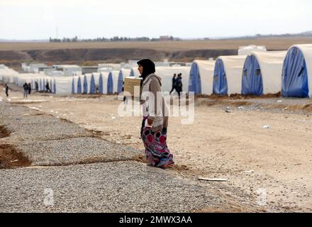 An Iraqi woman carries humanitarian aid at a camp for internally displaced people, in Khazir, near Mosul, Iraq, Monday, Dec. 5, 2016. The U.N.'s refugee agency has distributed aid to dozens of Iraqi families uprooted from their homes in and around the city of Mosul. They are among the nearly 5,500 people living in tents in the camp east of Mosul where the battle to retake the city from the Islamic State group is underway. (AP Photo/Hadi Mizban)