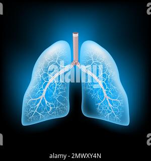 Lungs with glowing effect. Realistic transparent blue Lungs on dark background. Human respiratory system. Image for healthcare design. Vector Stock Vector