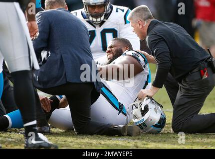 Carolina Panthers offensive tackle Daryl Williams (60) during the