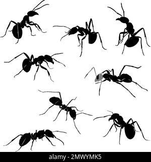 ant, insect, various poses, movements and angles of figures, black, color, pattern, drawing, silhouette, eyes, design, symbol, picture, isolated Stock Vector