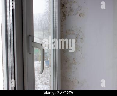 The slope near the window is covered with moisture stains, fungus covers the wall. Black mold with yellow spots on a white wall. Stock Photo