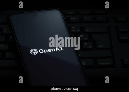 Ljubljana, Slovenia - 21 January 2023: OpenAI logo on smartphone screen laying on computer keyboard Stock Photo
