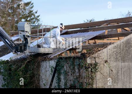 Removing aspestos from a roof, UK Stock Photo