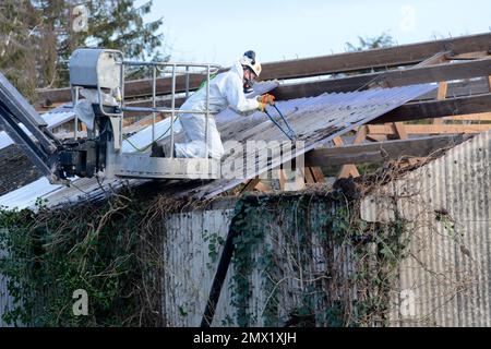 Removing aspestos from a roof, UK Stock Photo