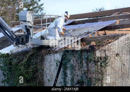 Removing aspestos from a roof, UK Stock Photo