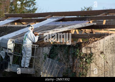 Removing aspestos from a roof, UK Stock Photo