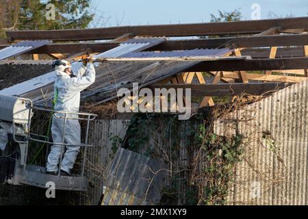 Removing aspestos from a roof, UK Stock Photo