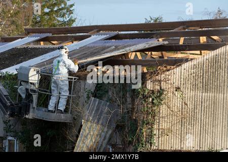 Removing aspestos from a roof, UK Stock Photo