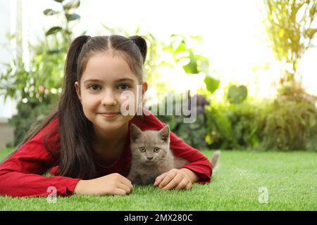 Girl with Scottish straight baby cat on green grass Stock Photo