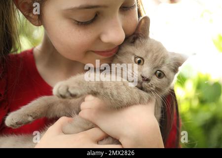 Girl holding Scottish straight baby cat on blurred background, closeup Stock Photo