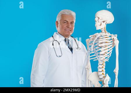 Senior orthopedist with human skeleton model on blue background Stock Photo