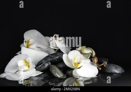 Stones and orchid flowers in water on black background. Zen lifestyle Stock Photo