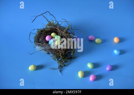 Tiny Easter eggs against blue background.  Eggs in real bird's nest and on table. Stock Photo