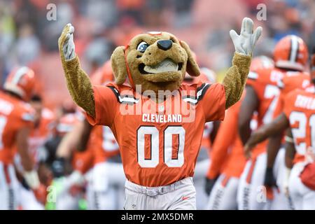 NFL Mascot Chomps the Cleveland Browns Editorial Photo - Image of