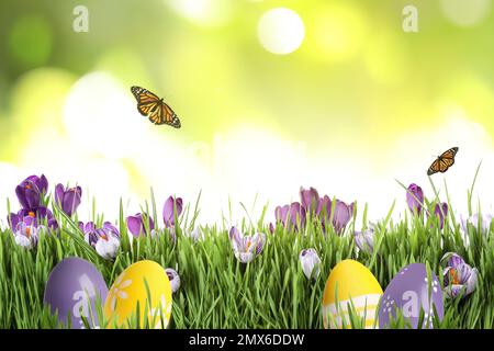 Colorful Easter eggs with flowers in green grass and butterflies on blurred background Stock Photo