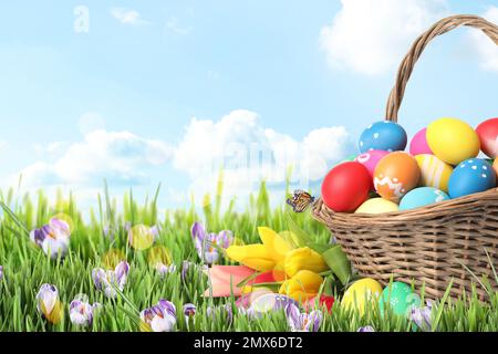 Wicker basket with Easter eggs in green grass against blue sky. Space for text Stock Photo