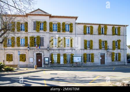 The town hall in the southern french town of Tanneron with mimosa on the shutters Stock Photo