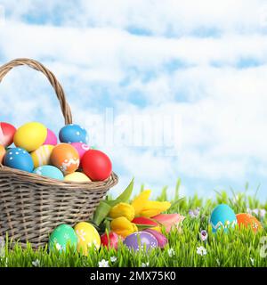 Wicker basket with Easter eggs in green grass against blue sky. Space for text Stock Photo