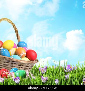 Wicker basket with Easter eggs in green grass against blue sky. Space for text Stock Photo