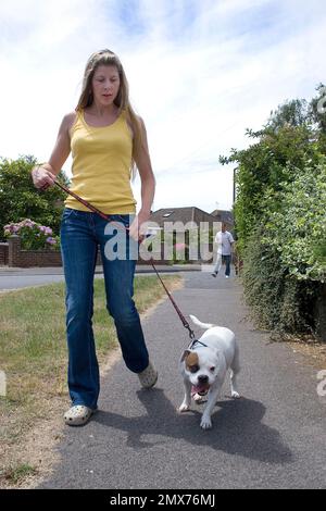 blonde woman walking her staffordshire bul terrier in street with man following behind Stock Photo