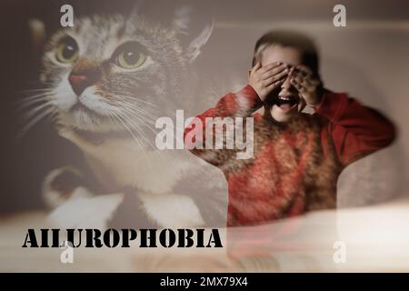 Little boy suffering from ailurophobia. Irrational fear of cats Stock Photo