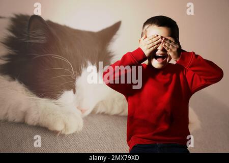 Little boy suffering from ailurophobia. Irrational fear of cats Stock Photo